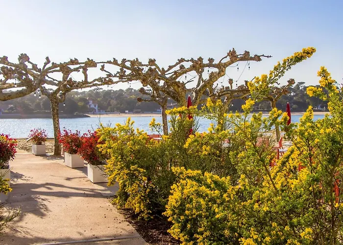 Du Parc & Hotel Soorts-Hossegor